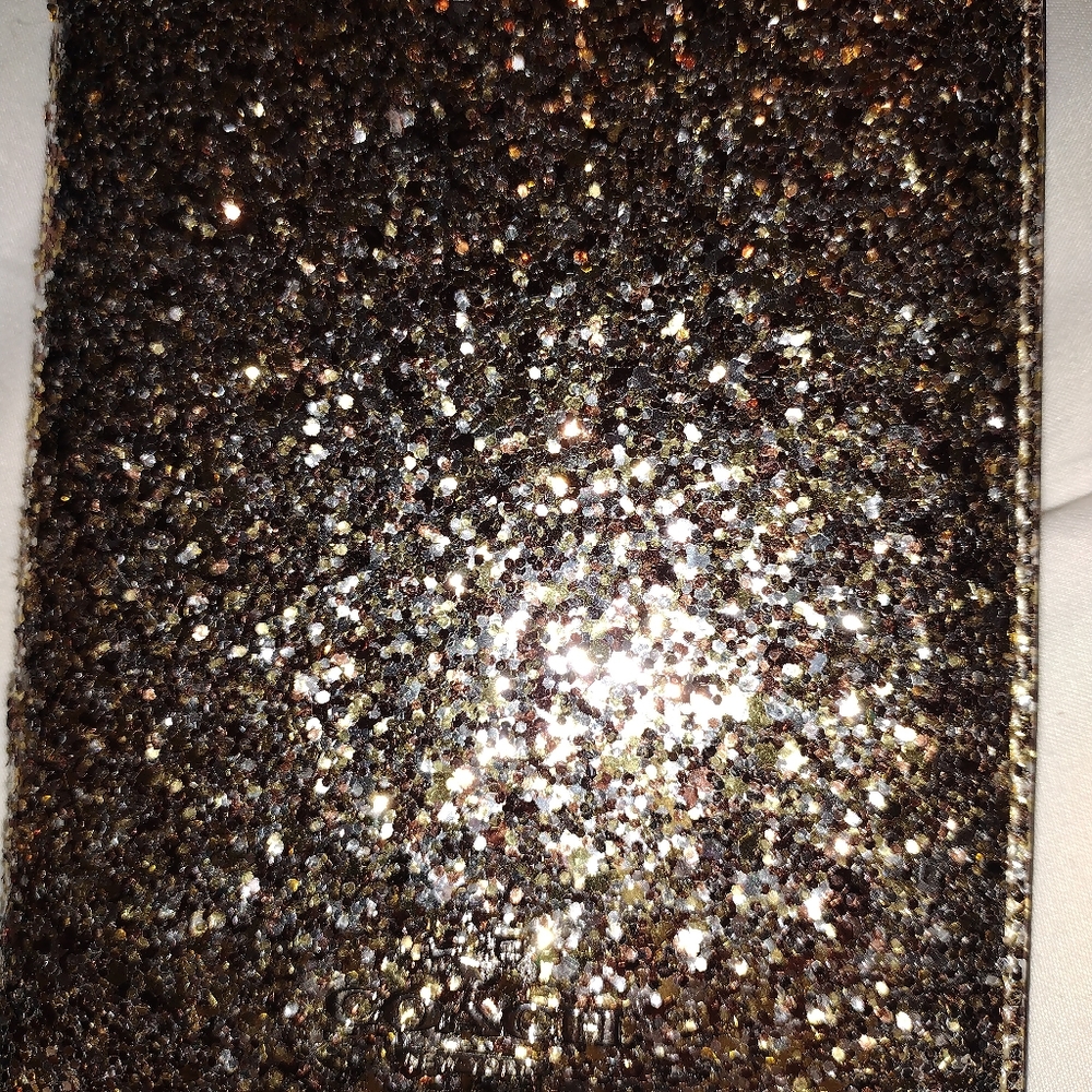 Coach glitter passport case